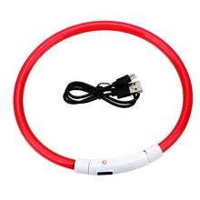 Lade das Bild in den Galerie-Viewer, Leuchthalsband für Hund und Katz