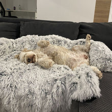 Lade das Bild in den Galerie-Viewer, Hundsofa
