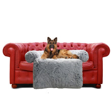 Lade das Bild in den Galerie-Viewer, Hundsofa
